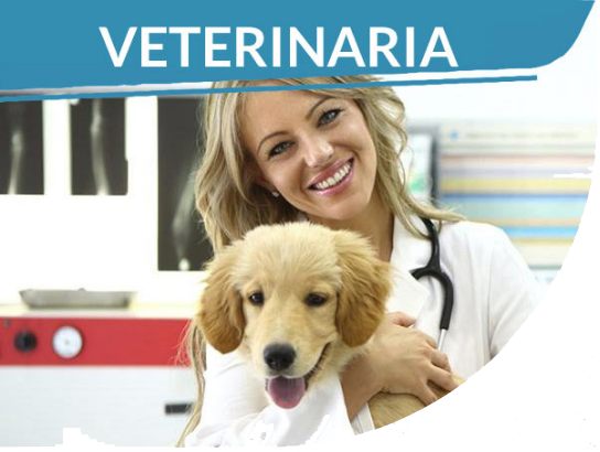 Schermata 2019-01-18 alle 13.34.44